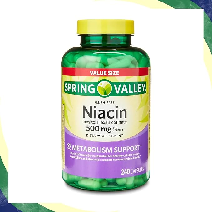 Vitamin B3 Niacin 500mg Flush Free Capsules Dietary Supplement 240 Pills (Pack of 1)