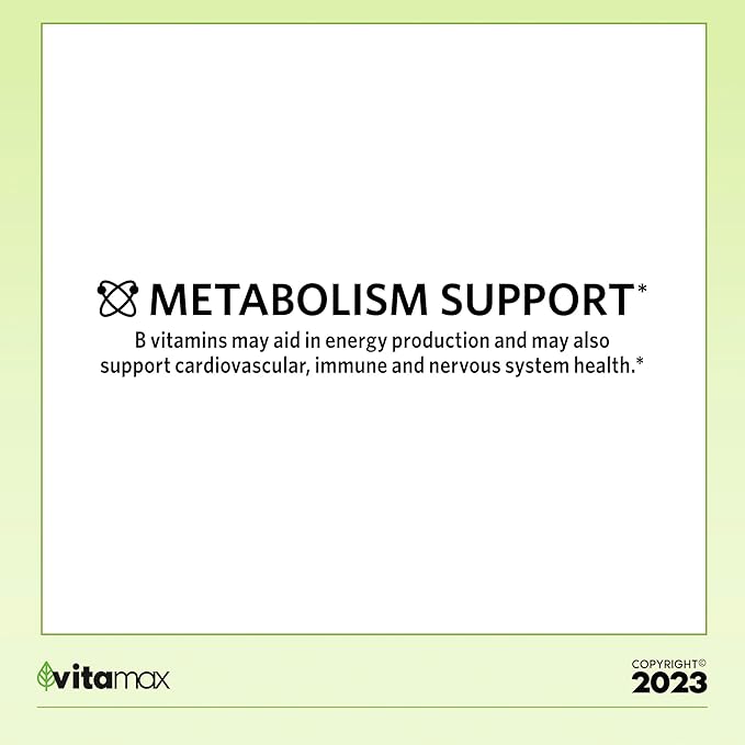 Sprin Val-Ley Super Vitamin B-Complex Tablets Dietary Supplement Value Size 250 Count (Over 8 Months Supply) + Exclusive Vtmx Vitamin Guide (2 Items)
