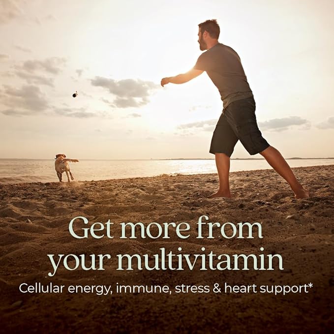 New Chapter Men’s Multivitamin B6 Extra B12 D3 Vitamin C &amp Zinc Immune Heart Cellular Energy and Brain Health Gentle on The Stomach One Daily Non-GMO Gluten-Free 18+ 48 Tablets