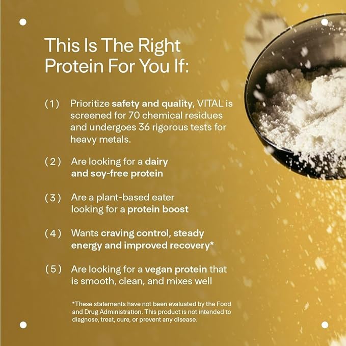 LTH Vital Vegan Protein - Trusted by Life Time Members - Plant-Based Protein Powder Made from Pea Protein - Supports a Healthy Immune System - Dairy Free &amp Soy Free - Vanilla 30 Servings