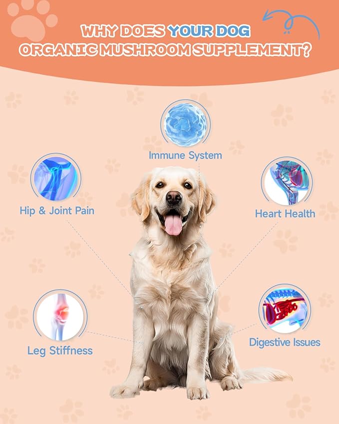 Collagen for Cats &amp Dogs - Liquid Grass Fed Collagen for Cat &amp Dogs - Hip &amp Joint Skin &amp Coat Digestive Function - with MSM Hyaluronic Acid Biotin - Roast Chicken Flavor