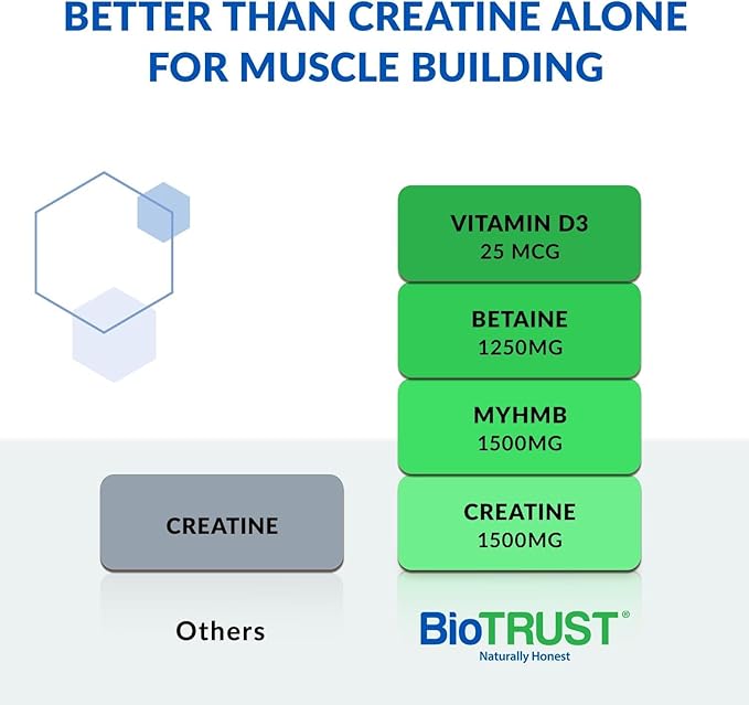 BioTrust Ageless Muscle Builder - Creatine HMB Powder with Vitamin D3 &amp Betaine - Build &amp Preserve Naturally Declining Muscle Mass &amp Strength - Fruit Punch 60 Servings