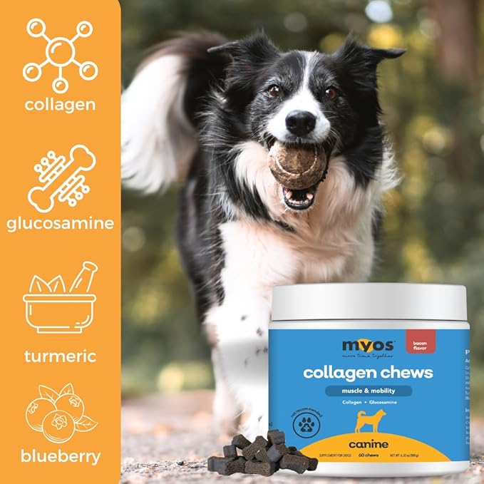 MYOS Canine Muscle &amp Mobility Chews – Collagen &amp Glucosamine for Dogs - Bacon Flavor Joint Supplement for Muscle Bone &amp Joint Support 60 Count