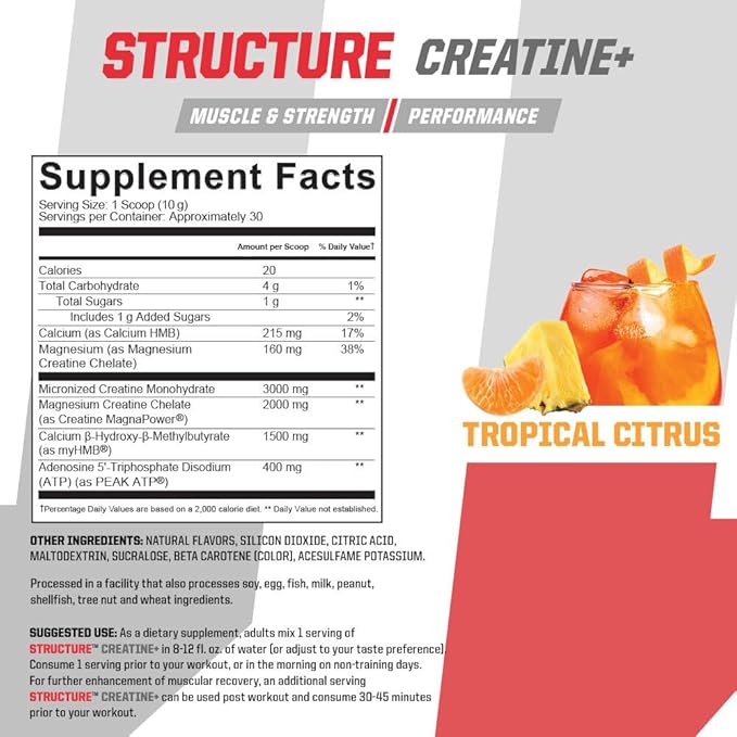 Undefined Nutrition Structure Creatine+ by Brian Shaw (30 Servings) –Micronized Creatine Monohydrate + Magnesium Creatine Chelate &amp HMB and PEAK ATP-Strength Power Recovery (10.6oz Tropical Cit