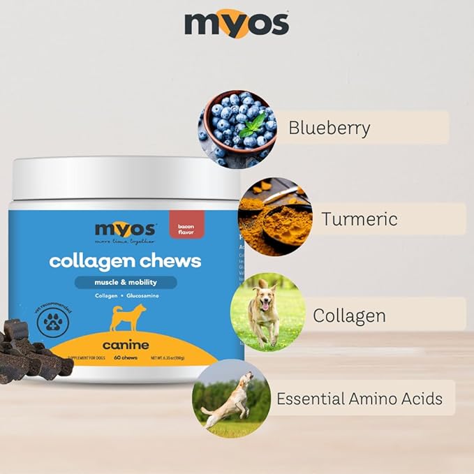 MYOS Canine Muscle &amp Mobility Chews – Collagen &amp Glucosamine for Dogs - Bacon Flavor Joint Supplement for Muscle Bone &amp Joint Support 60 Count