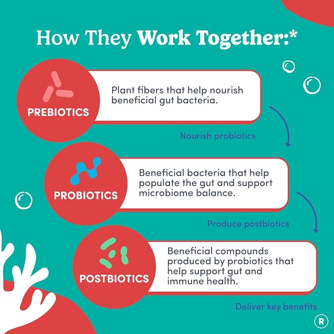 FIRST DAY Toddler Tribiotic Gummies (Ages 2-3) | Kids Probiotic Gummies | 3 in 1 Pre + Pro + Postbiotics for Kids Digestive &amp Immune Health - Kiwi 60 Counts (30 Days Supply)