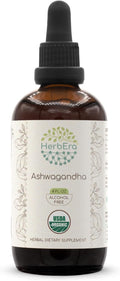 HerbEra Ashwagandha B120 Alcohol-Free Herbal Extract Tincture Super-Concentrated USDA Organic (Shui Qie Indian Ginseng Withania Somnifera) 4 fl oz