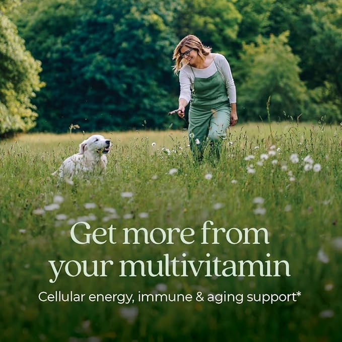 New Chapter Women’s Multivitamin 40+ extra B6 &amp B12 Biotin for Hair Growth D3 Vit C Zinc for Immune &amp Stress Support Gentle on an Empty Stomach One Daily Non-GMO Gluten-Free 72 Table