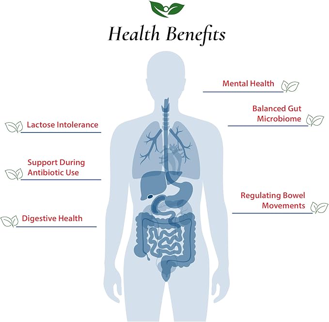Foods For Gut Lactobacillus Acidophilus Probiotic Powder 200 Billion cfu's | Made in USA | No Additives | Direct from Manufacturer | No Third-Party Storage | Immune Support | 60 Grams (2.11 Oz)