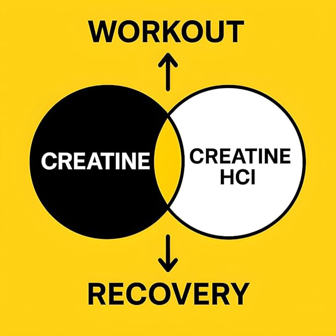 Creatine HCL + Creatine Monohydrate Mix Less Sour &amp Easier to Consume Post Workout Muscle Builder for Men &amp WomenCreatine Hydrochloride + Monohydrate 16 OZ (454g)