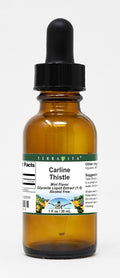Carline Thistle Glycerite Liquid Extract (1:5) - Mint Flavored (1 oz ZIN: 523315)