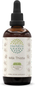 HerbEra Milk Thistle B120 Alcohol-Free Herbal Extract Tincture Concentrated Liquid Drops Natural Milk Thistle (Silybum marianum) 4 fl oz