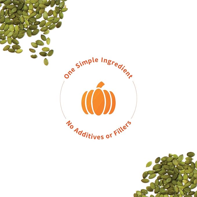 Sprout Living Organic Pumpkin Seed Protein Powder Unflavored 20 Grams of Plant Based Protein Powder Without Artificial Sweeteners Non Dairy Non-GMO Vegan Gluten Free (1 Pound 15 Servings)