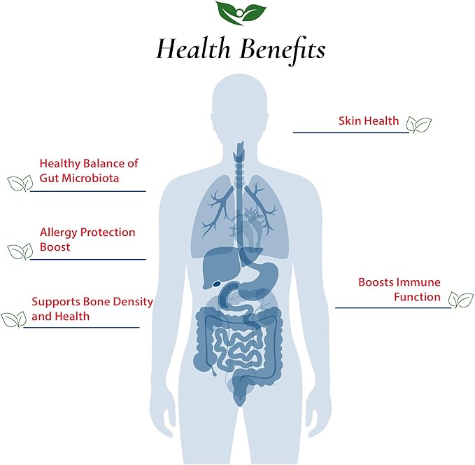 Foods For Gut Lactobacillus Helveticus Probiotic Powder 100 Billion cfu's | No Additives | Direct from Manufacturer | No Third-Party Storage | Immune Support | L. Helveticus | 100 Gram (3.52 Oz)