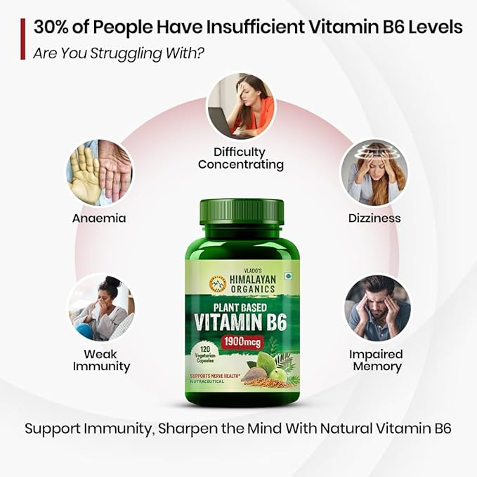 Himalayan Organics Organics Plant-Based Vitamin B6 | Supports Immunity Brain Health (120 Capsules)