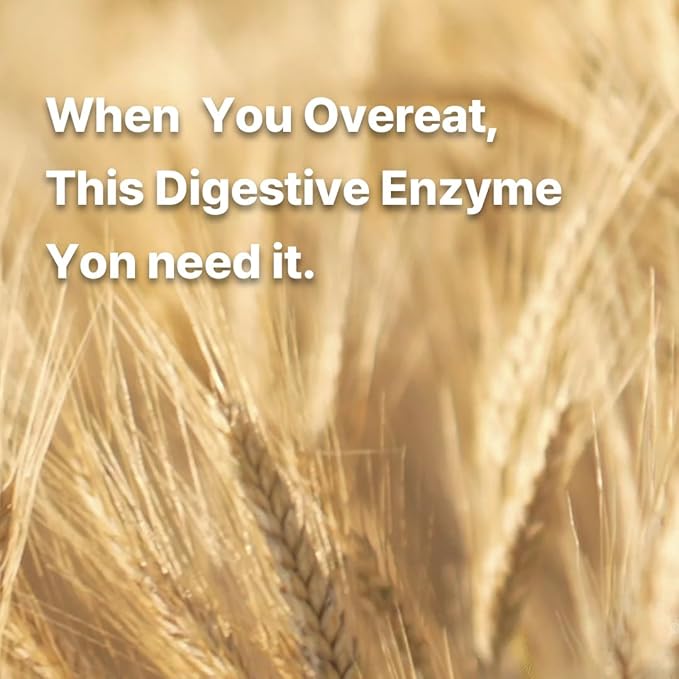 Digestive Enzyme – 30 Sticks – Natural Fermentation Whole Grains Probiotics Clean Daily Wellness Support