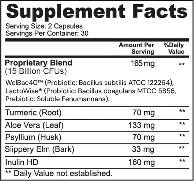 Ameo Life Probiotic for Digestive &amp Gut Health – Bacillus Subtilis &amp Bacillus Coagulans with Aloe Vera Turmeric Psyllium Slippery Elm &amp Inulin Prebiotic – 60 Capsules