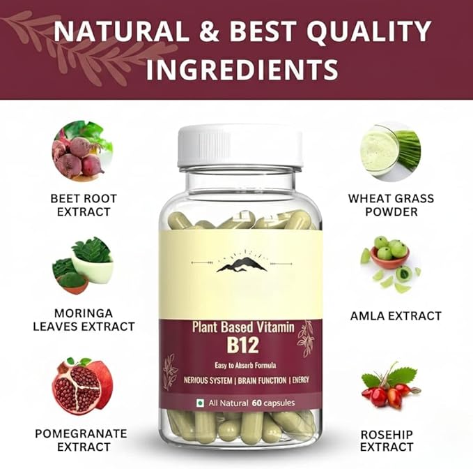 Plant Based Vitamin B12 Supplement for Men &amp Women | Organic Formulation for Vegetarians &amp Vegans to Support Nervous System &amp Brain Function (60 Capsules)