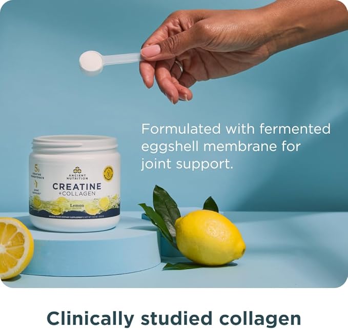 Ancient Nutrition Creatine + Collagen – Muscle Strength Lean Body Mass Joint Comfort &amp Cognitive Support – Includes 5g Creatine Monohydrate for Women + Electrolytes Lemon 30 Servings