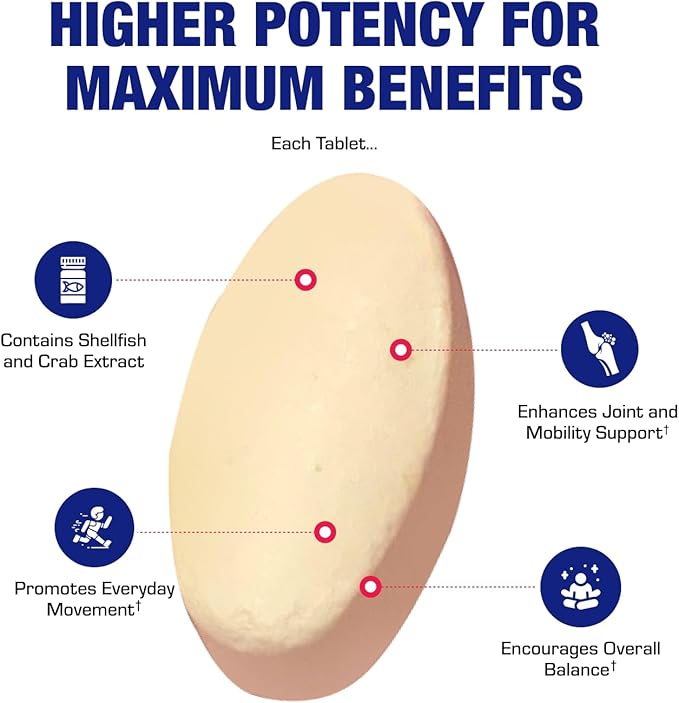 Advanced Glucosamine and Chondroitin for Adults - Clinical Formula Naturally Derived Bone Joint Tendon and Ligament Supplement with High Strength Glucosamine Complex - Up to 90 Day Supply
