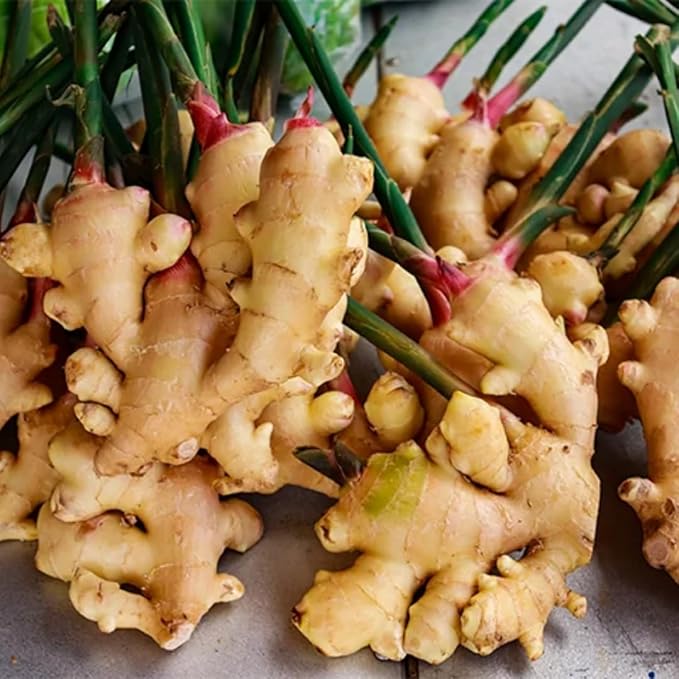 Ginger Honey Vinegar 500 ml