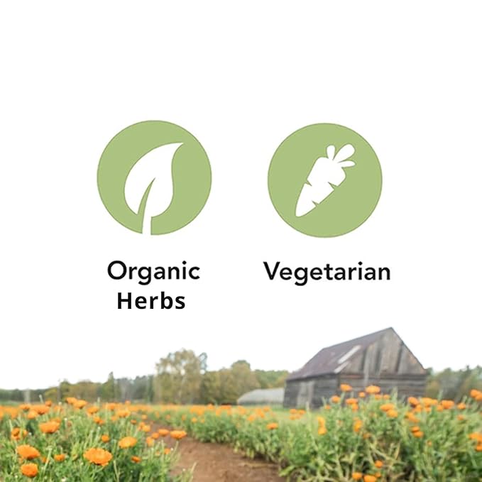 St. Francis Herb Farm Ashwagandha KSM-66® (60 Capsules) Enhanced Potency 12:1 Powder Extract Made with Organic Ashwagandha Herbs GMO Free Vegetarian (1 Bottle) Adaptogen