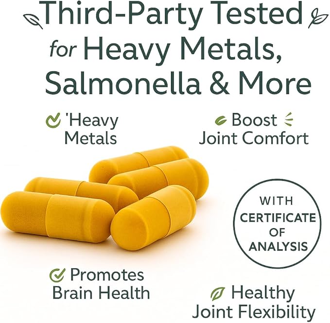 Me First Living Turmeric Curcumin 1000 mg 95% Curcuminoids Bioperine 10 mg 19x More Potent Than Others Increased Absorption Non-GMO Organic Turmeric Vegan Gluten Free 60 Capsules