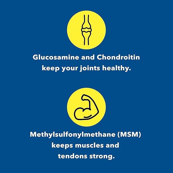 Glucosamine Chondroitin MSM Supplement for Joint &amp Bone Health - 120 Capsules | Joint Support &amp Discomfort Relief for Back Knees Hands