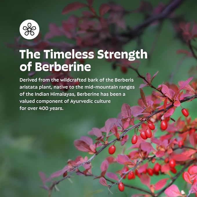 Earth's Splendor Berberine 500mg Capsules Supports Metabolism (120ct Bottle 2 Month Supply) Non-GMO Vegan-Friendly