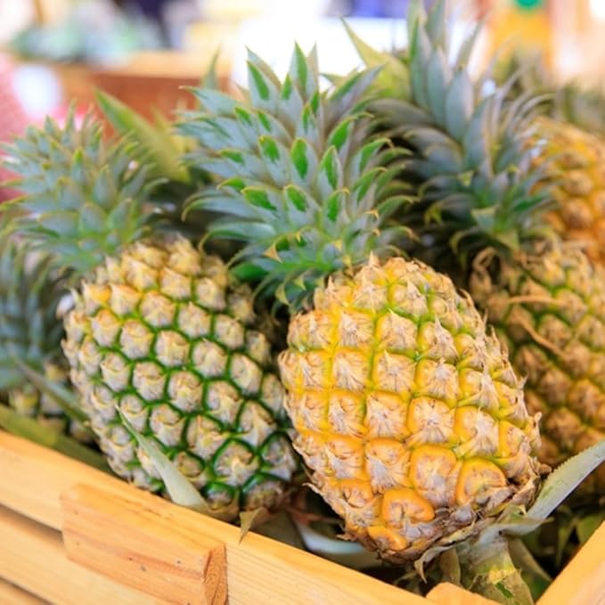 Oak Barrel Natural Pineapple Vinegar 500 Milliliters
