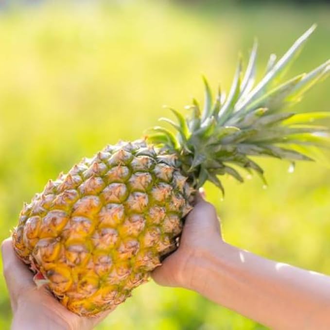 Oak Barrel Natural Pineapple Vinegar 500 Milliliters