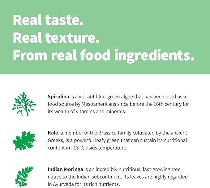 Sprout Living Epic Protein Plant Based Protein &amp Superfoods Powder Green Kingdom | 20 Grams Organic Protein Powder Greens Vegan Non Dairy Non-GMO Gluten Free Low Sugar (1 Pound 12 Serving