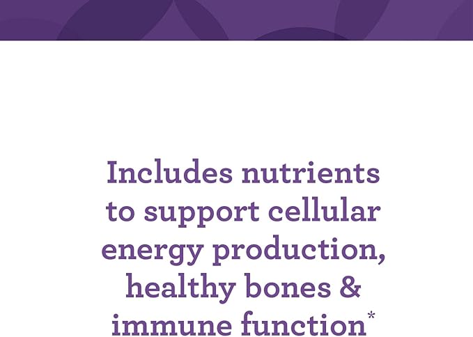 INNATE Response Formulas One Daily - Daily Herb-Free Multivitamin - Includes B Vitamins - Vegetarian Non-GMO and Kosher - Made Without 9 Food Allergens - 90 tablets (90 Servings)