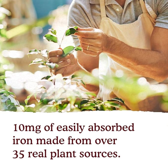 Garden of Life Organics Plant Iron &amp Organic Herbs - Organic Plant-Sourced Iron + Herbs (Cranberry-Lime Liquid) 8oz Liquid