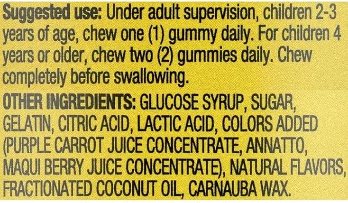 Equate Kids Multivitamin Gummies Natural Fruit Flavors 190 Count (Pack of 1) Sticker