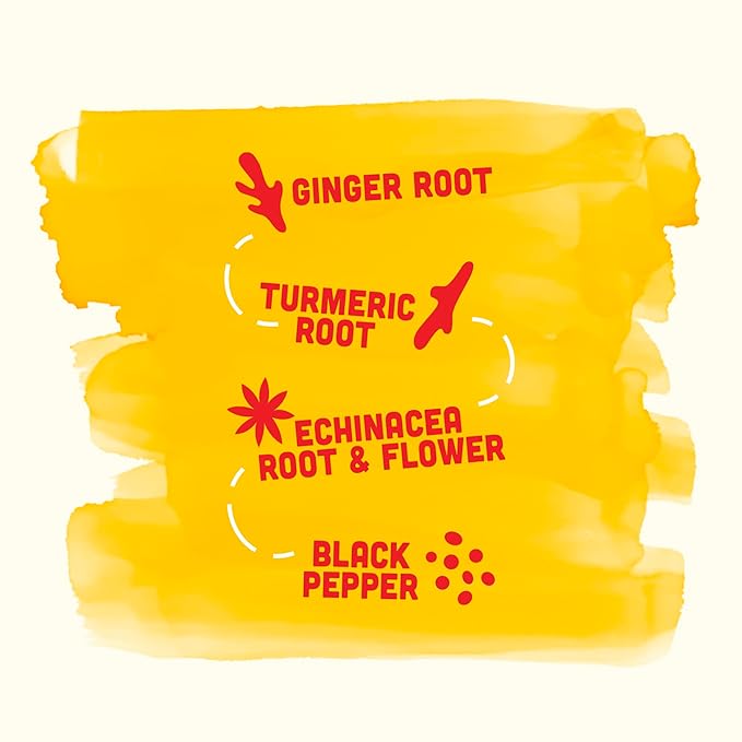 Vive Organic Immune Support Shot Cold-Pressed Ginger Turmeric &amp Echinacea Gluten Free Vegan Immunity Boost Original 2 Fl Oz (Pack of 12)