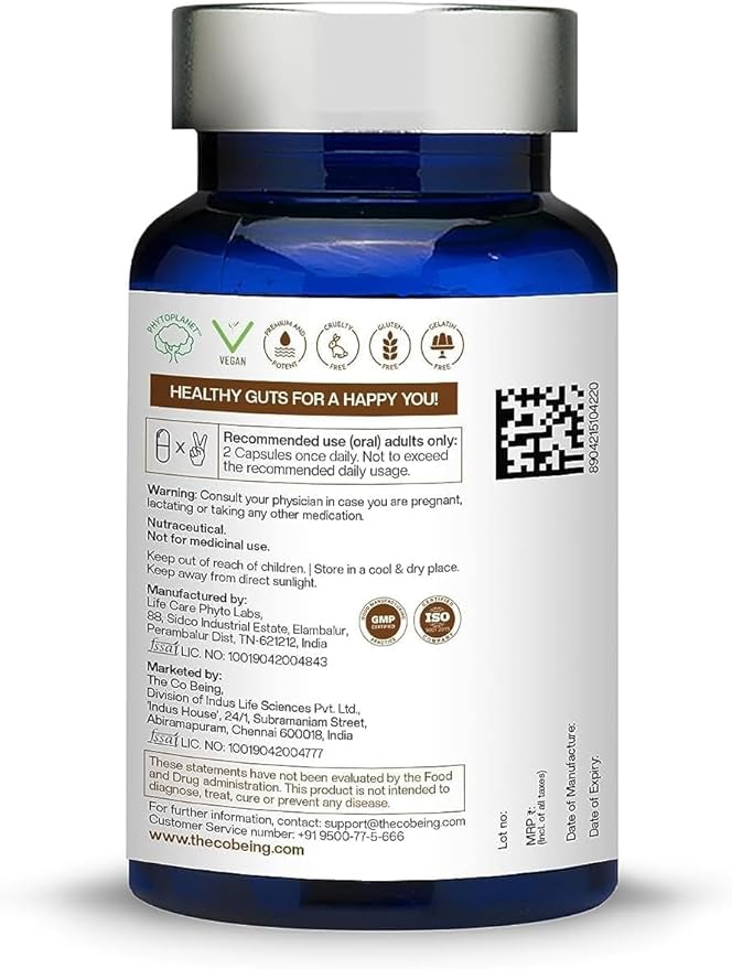 Gut Health Supplements for Men and Women Got Gutzy Contains Turmeric Ginger Licorice Aloe Vera and Digestive Enzymes for Digestive Health Acidity Constipation Nausea 60 Capsules.