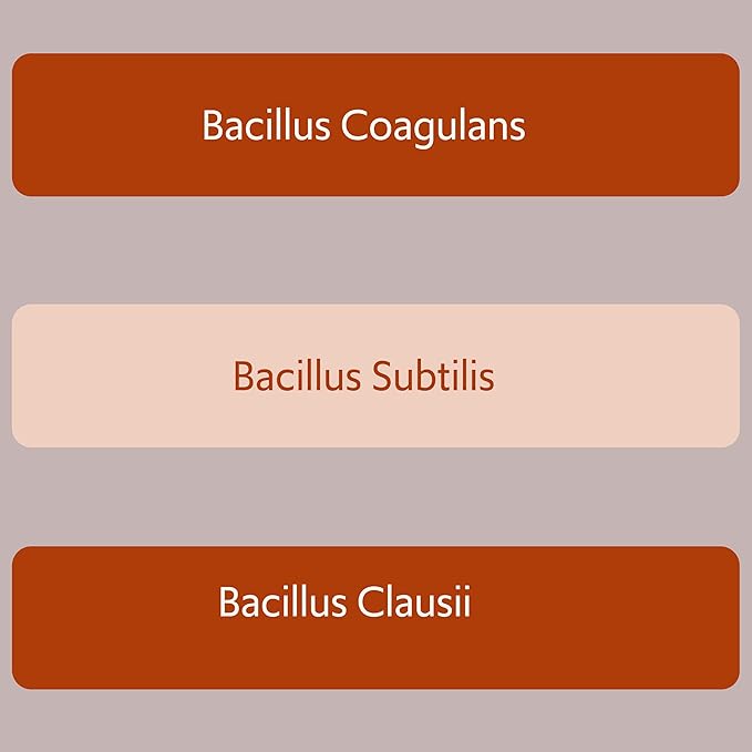 Bacillus B3 Probiotic Complex &amp Enzymes – 100% Spore-Based Organisms - SBO - Better Survivability - Bacillus Coagulans Bacillus Subtilis &amp Bacillus Clausii - Non GMO - 60 Capsules (Pack of 5)
