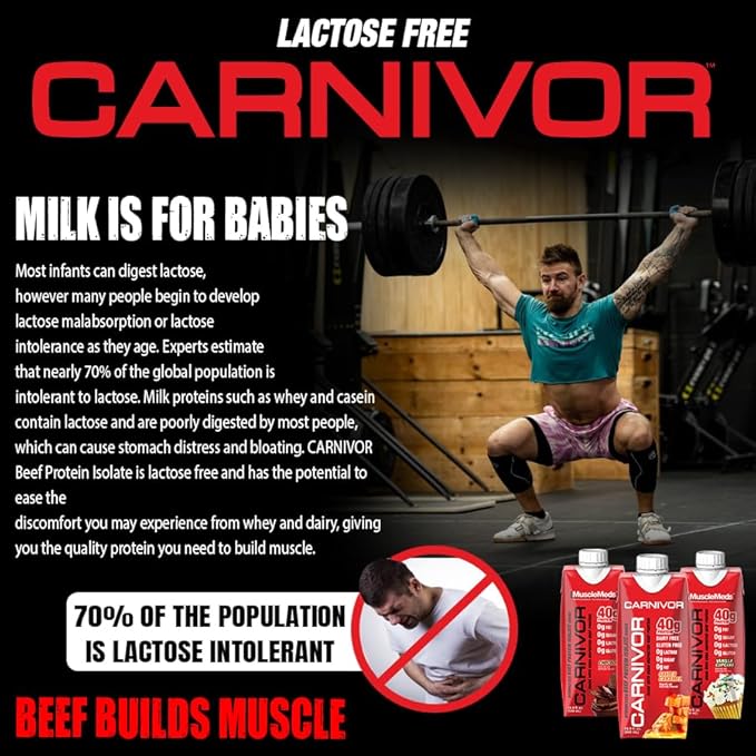 MuscleMeds Carnivor RTD Ready to Drink Protein Lactose Free Sugar Free 40g Isolate Protein Muscle Building Recovery Chocolate 16.9 Fl Oz (Pack of 12)