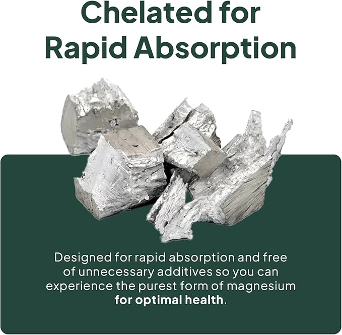 Organics Ocean Real Magnesium Citrate - High Absorption Magnesium Supplement - Chelated Magnesium to Support Energy Relaxation and Regularity - 3 Pack Bulk Supply
