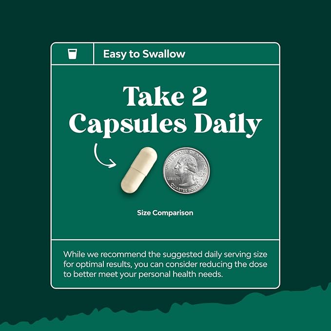 Bundle of Liver Support NAC - N Acetyl Cysteine Antioxidants Turmeric Choline Dandelion &amp L-Glutathione and Pancreatin Digestive Enzymes for Digestive Health - Protease Amylase &amp Lipase Digest