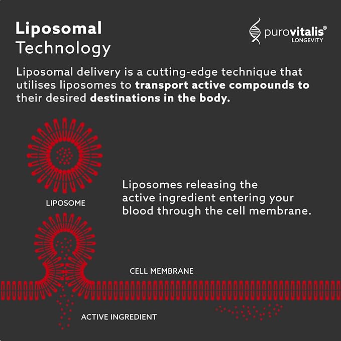 PUROVITALIS Liposomal Resveratrol 250mg 30 Servings (30 Vegan Capsules) High Purity Trans-resveratrol Antioxidant Supplement