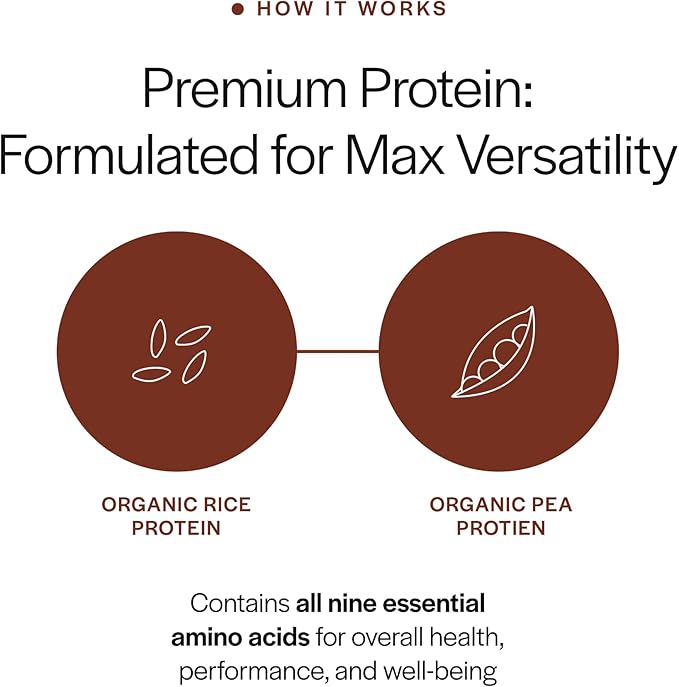 Gainful Everyday Plant Protein Powder &amp Neapolitan Flavor Bundle 23g Plant Protein Supports Strength Recovery and Balanced Nutrition Vegan Gut Friendly 14 Servings + 14 Flavor Sticks