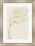 Thistle and Thatch by Kamdon Kreations Framed Art Print Wall Picture Silver Scoop Frame 21 x 28 inches