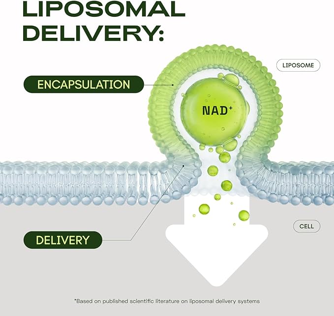 NMN Supplement Alternative – Liposomal NAD+ Supplement – Third-Party Tested – NAD CORE – 90-Day Supply – 180 Capsules