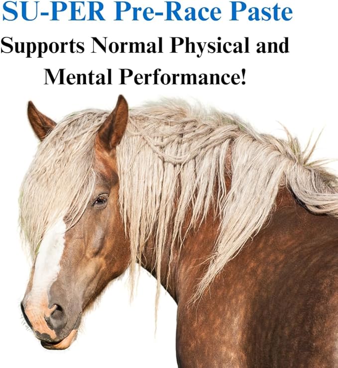 SU-PER Pre-Race Paste for Horses - Performance Support for Exercising Muscle - Buffered Creatine Amino Acids Herbal Extracts Anti-Oxidants B-Complex Vitamins - 60CC Case of 4