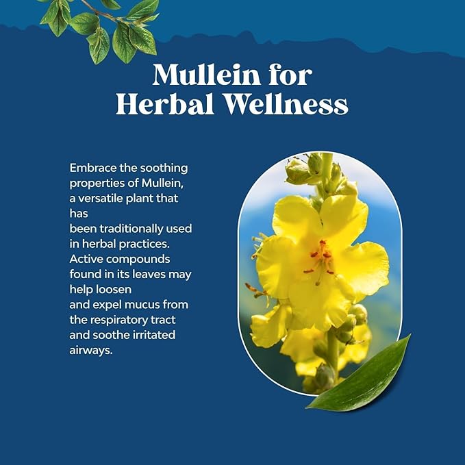 Bundle of USDA Organic Mullein Drops for Lungs with Marshmallow Root Extract &amp Plantain Leaf and Red Yeast Rice with CoQ10 Supplement - Advanced Healthy Heart &amp Healthy Cholesterol Levels Form