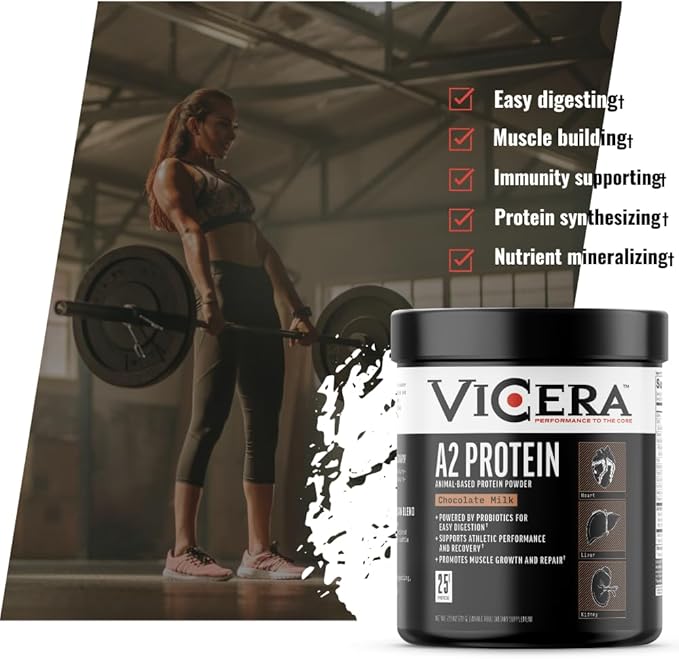 Chocolate Protein + Berry Flavor Creatine Collagen Powder A2/A2 Whey Casein Protein with Probiotics and Celtic Sea Salt (20 Servings) Creatine and Collagen Supplement Gluten Free (30 Servings)