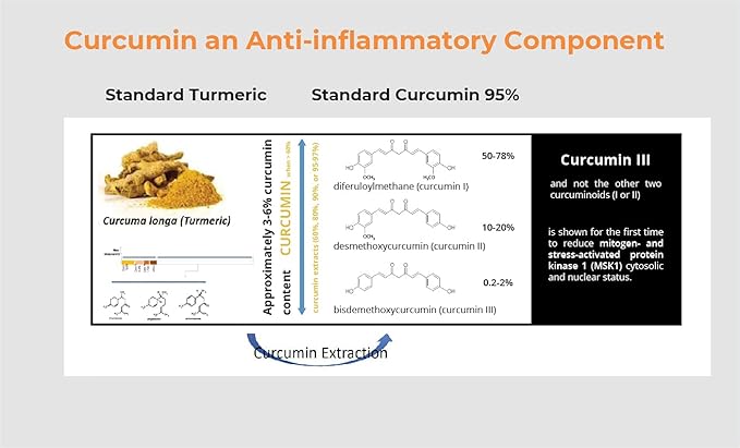 Pro NovoCurcumin-BioBDMC50-Next Generation Highly Enhanced Curcumin-240 Capsules