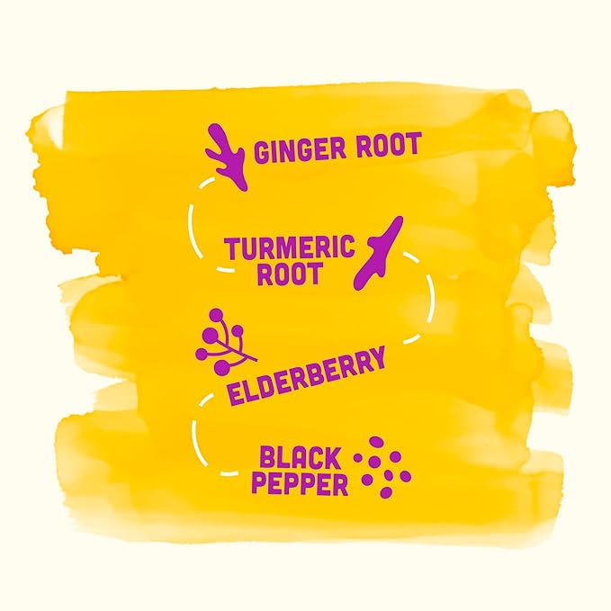 Vive Organic Immune Support Elderberry Shot Cold-Pressed Turmeric &amp Ginger Gluten Free Vegan Immunity Boost Elderberry 2 Fl Oz (Pack of 12)